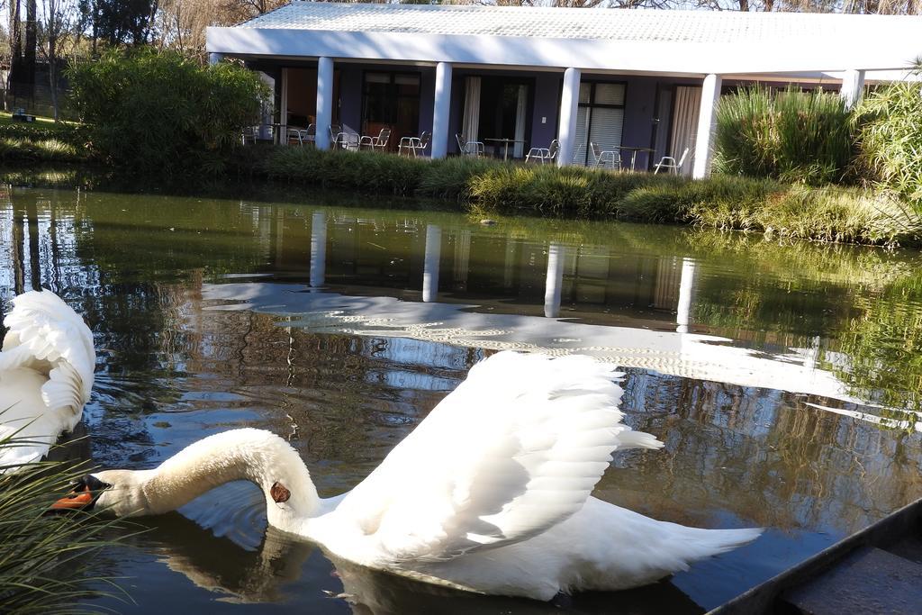 Willow Place Guest House Мидранд Экстерьер фото